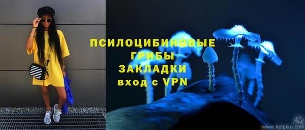 соль ск Инта