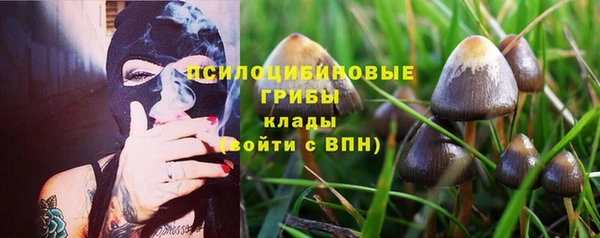 соль ск Инта