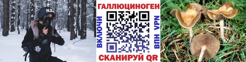 mega tor  площадка какой сайт  Псилоцибиновые грибы мицелий  Чегем 